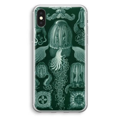 Haeckel Cubomedusae: iPhone XS Transparant Hoesje