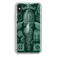 Haeckel Cubomedusae: iPhone XS Transparant Hoesje