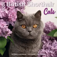 Brits Korthaar Kalender 2026