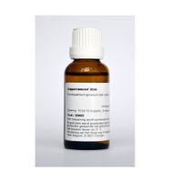 Conium maculatum D30