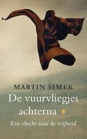 De vuurvliegjes achterna - Martin Simek - ebook