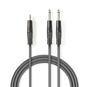 Stereo audiokabel | 2x 6,35 mm male - 3,5 mm male | 3,0 m | Grijs