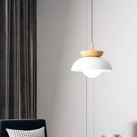 Minimalistische Scandinavische Hanglamp Van Halfhout