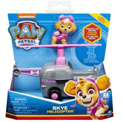 Paw Patrol skye met voertuig