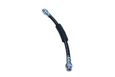 Remslang 520454