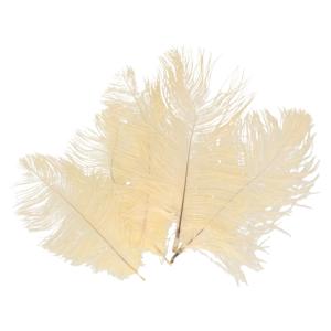 Struisvogelveren/sierveren - 10x - creme wit - 20-25 cm - decoratie/hobbymateriaal