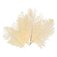 Struisvogelveren/sierveren - 10x - creme wit - 20-25 cm - decoratie/hobbymateriaal - thumbnail