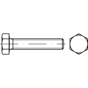 TOOLCRAFT TO-5443470 Zeskantbout 31 mm 25 mm Buitenzeskant 83933 Staal 100 stuk(s)