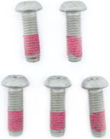 TRW -lucas bevestigingsbout screw 5pcs. for brake rotors,5 pcs.