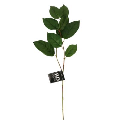 Bellatio Design Kunstbloem bladgroen tak Salal - 77 cm - boeket opvulling - groen - kunst zijdebloe Bellatio Design Kunstbloem bladgroen tak Salal - 77 cm - boeket opvulling - groen - kunst zijdebloe