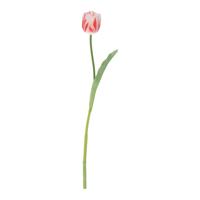 Tulpentak RT Kunstbloem 60cm Wit Rood