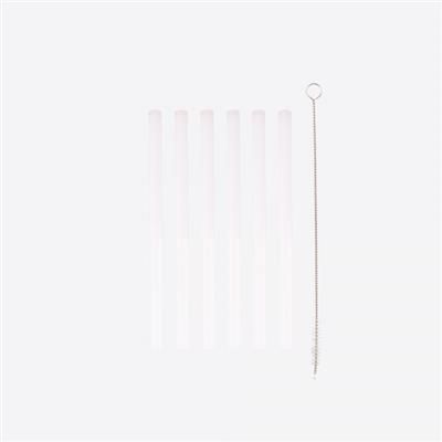 POINT-VIRGULE - Glazen rietjes kort Set/6 + borstel