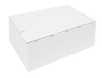 Postpakketbox iezzy 4 305x215x110mm wit | 5 stuks