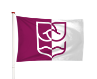 Vlag Rijssen-Holten