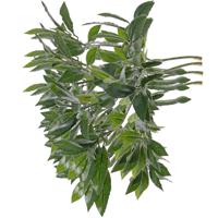 Bellatio flowers & plants Kunstplant laurierblad - 4x - Kunsttakken - groen - 48 cm