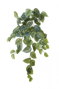 Kunst hangplant Scindapsus l65cm grn hdr