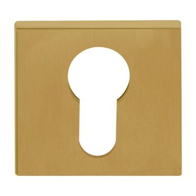 Formani BSQY53 BASICS cilinderplaatje pvd mat goud