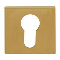Formani BSQY53 BASICS cilinderplaatje pvd mat goud
