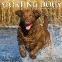 Sportieve Honden Kalender 2026