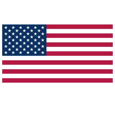 Vlag Verenigde Staten - 90 x 150 cm - Amerikaanse Vlag - USA - Feestartikelen