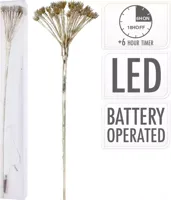 Berenklauw verlichting 25 lampjes Goud Berenklauw verlichting 25 lampjes Goud