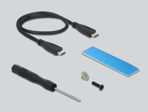 DeLOCK 42000 behuizing voor opslagstations Zwart M.2