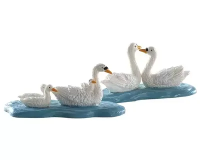 Swans S2