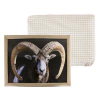 Mars & More Schoottafel kussen - laptray - schaap met hoorns - 33 x 43 cm