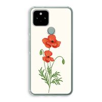 Red poppy: Google Pixel 5 Transparant Hoesje