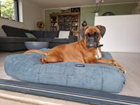 Dog's Companion® Hondenbed oud groen double ribcord superlarge