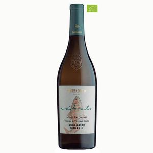 Vino Blanco Ecologico Sabalo 2022 - Palomino - 75CL - 11,5% Vol.