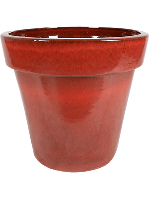 Ter Steege: Pot Deep Red - 60 cm