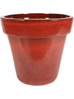 Ter Steege: Pot Deep Red - 60 cm