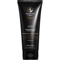 Paul Mitchell Awapuhi Wild Ginger Mirrorsmooth Conditioner 200ml