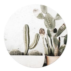 Tuincirkel Cactus in Pot 100