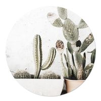 Tuincirkel Cactus in Pot 30