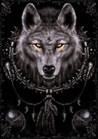 Poster Spiral Wolf Dreams 61x91,5cm
