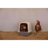 Nestkast voor kippen - KERBL - 52 x 39 x 39 cm