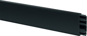 Electro Plint basis met deksel 20 x 115 mm Zwart 2 meter