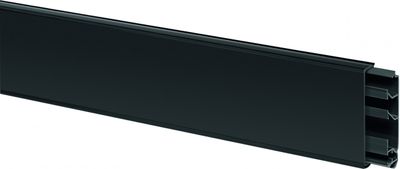 Electro Plint basis met deksel 20 x 115 mm Zwart 2 meter