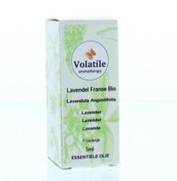 Volatile Lavendel
