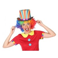 Clown verkleed set gekleurde pruik met hoge hoed - thumbnail