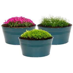 Plantenpot/bloempot Bob - 3x - rond - zink - zeegroen - D25 X H12 cm