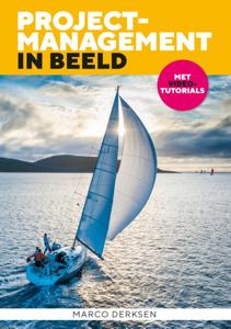 Projectmanagement in beeld (Paperback)