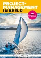 Projectmanagement in beeld (Paperback)