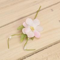 Bonbon doosjes - Chocolade doosje - Kersenbloesem Roze - 34 stuks