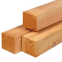 Paal douglas 12,0x12,0x300 cm Tuindeco - Tuindeco