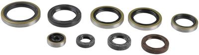 ATHENA Motorshield sx 250/300 mxc/250-300exc
