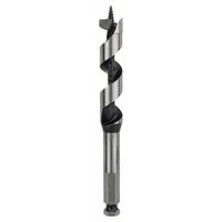 Bosch Accessories 2608585704 Slangenboor 18 mm Gezamenlijke lengte 160 mm Zeskant schacht 1 stuk(s)