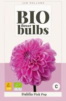 Bio dahlia pink pop bol/knol JUB 1 stuks - Jub